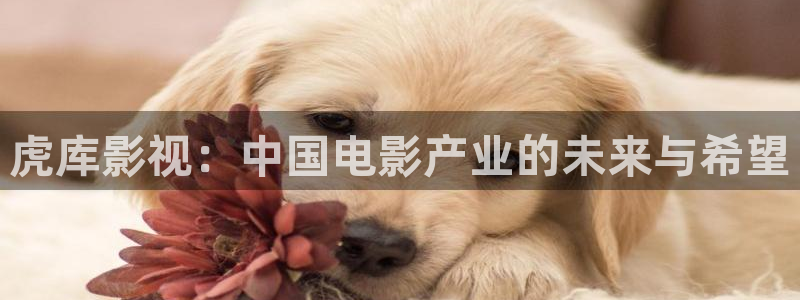 八戒影视免费在线