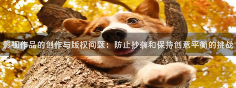 在线观看八戒影院：影视作品的创作与版权问题：防止抄袭和保持创意平衡的挑战